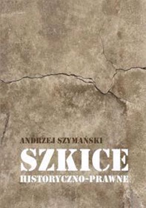 Obrazek Szkice historyczno-prawne (STUDIA I MONOGRAFIE NR 594)